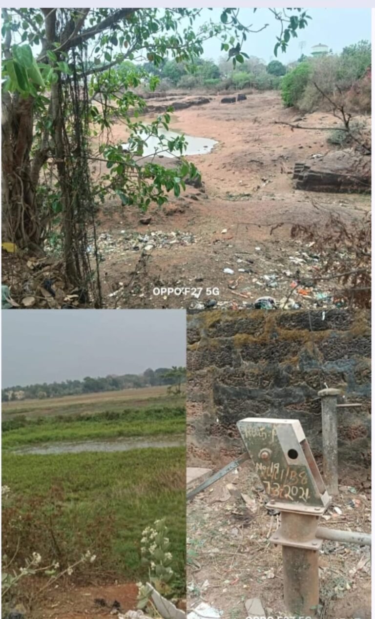 WhatsApp Image 2026-03-20 at 2.53.37 PM (1)