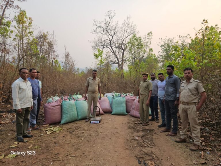 WhatsApp Image 2026-03-25 at 7.10.45 PM