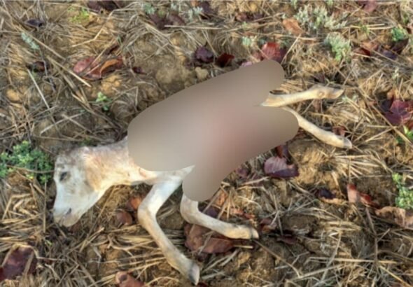 WhatsApp Image 2026-04-08 at 8.46.59 PM