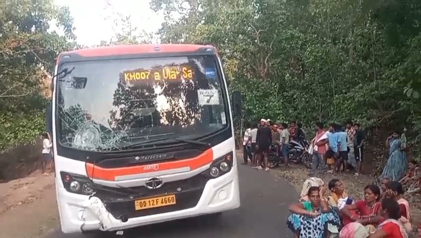 bus
