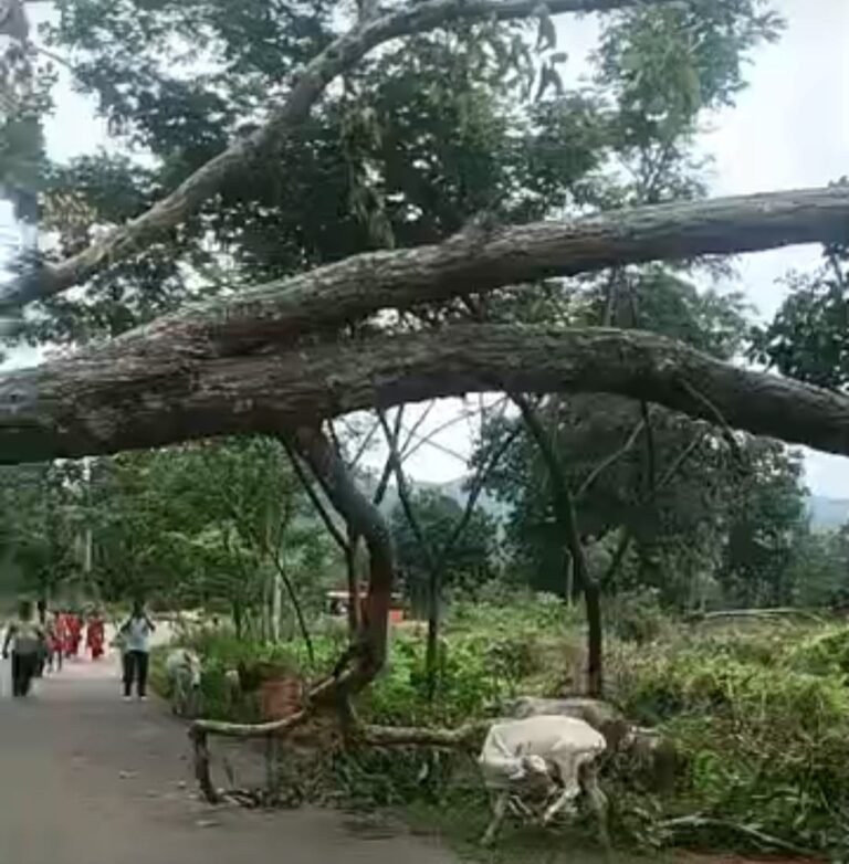 WhatsApp Image 2026-07-21 at 6.06.48 PM (1)