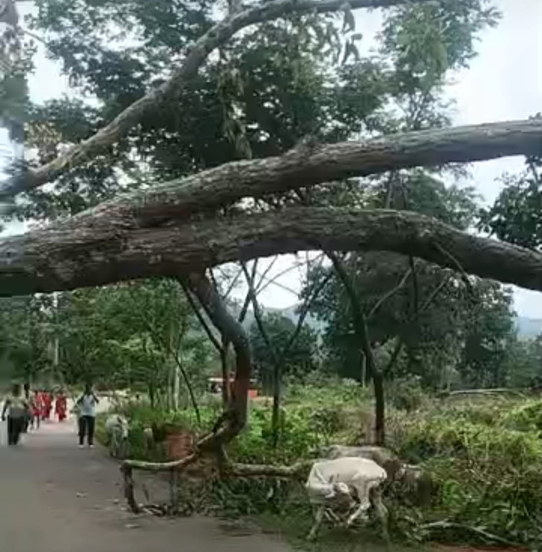 WhatsApp Image 2026-07-21 at 6.06.48 PM (1)